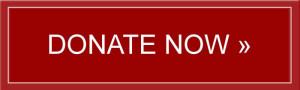donatenow